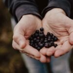 Ancestral approaches to detox