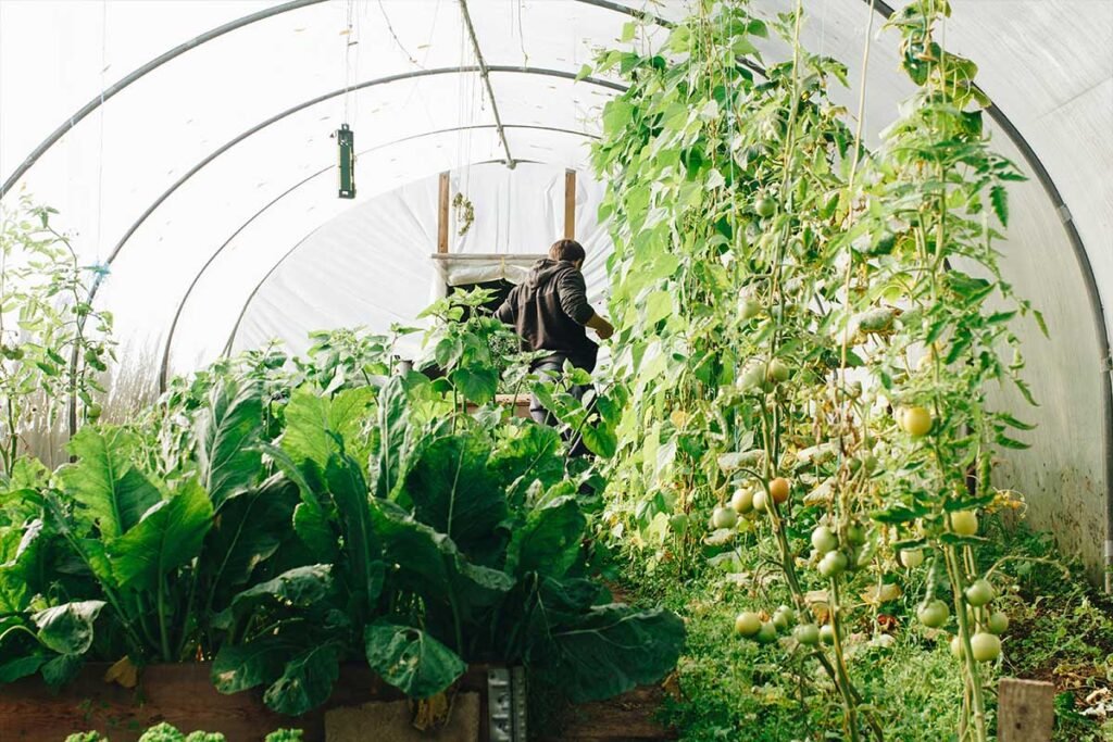 Chaos gardening
