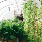 Chaos gardening