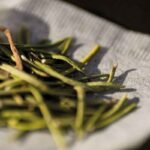 Healing potential of medicinal plants