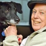 Second wind dreams and pets for the elderly making an impact