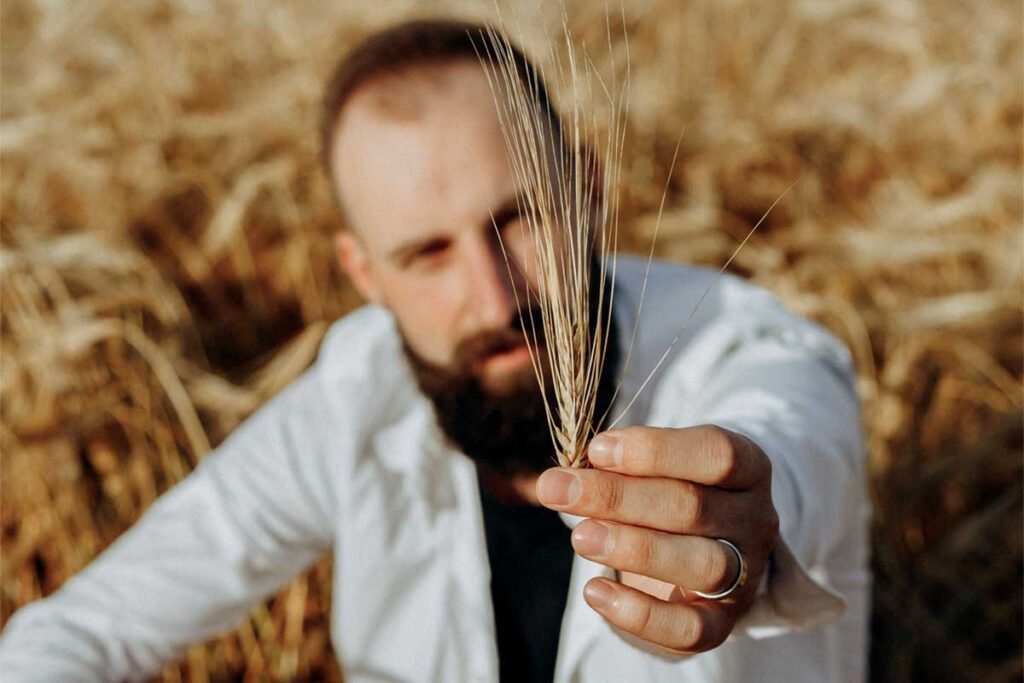 Land and Sea