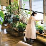 Smarty plants