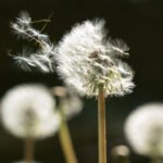 As You Go Along