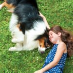 Grow Up With Pets