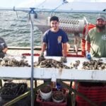 A day down on the oyster farm