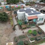 Epic Homesteading: How to Live Sustainably in Urban Spaces