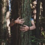 Planetary Health Care