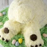 Easter Bunny Cake Recipe