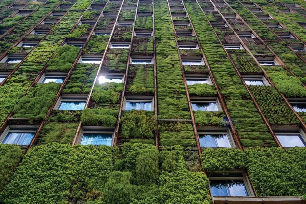 Greenifying the Concrete Jungle
