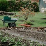 7 Ways to Get Your Garden Ready for Winter