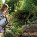 Children's herbal head start